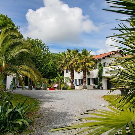 Erreka Txikia Bed & Breakfast Urrugne Exterior photo